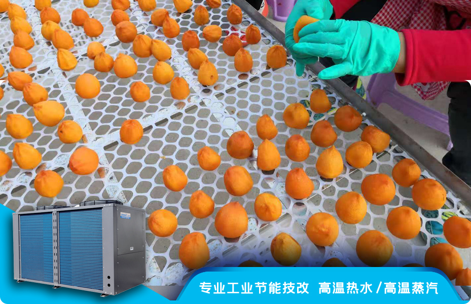 高溫烘幹熱泵烘幹